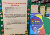 Познавательный час «Путешествие по городу Дорожных знаков»